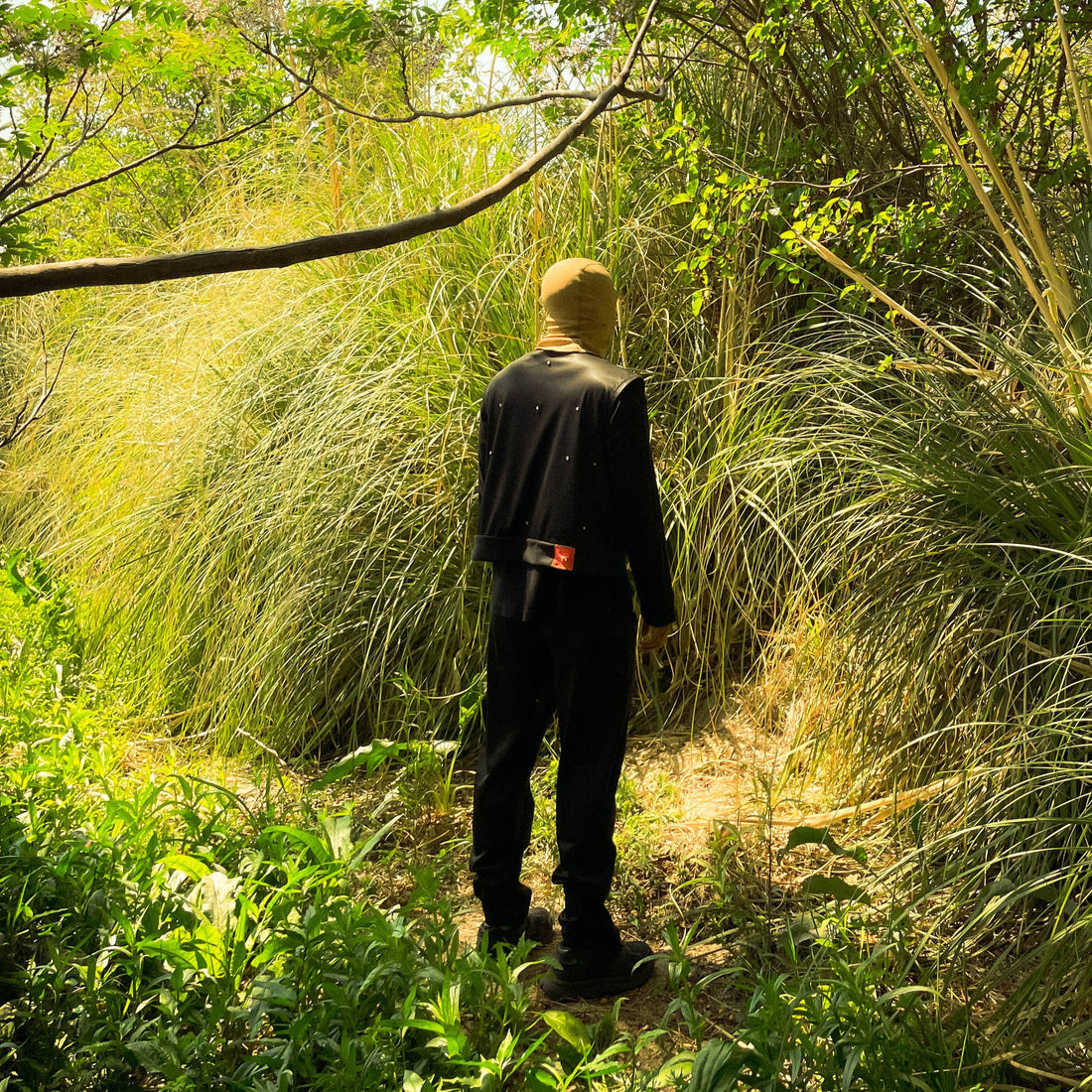 Solace Within The Stars Drop 1